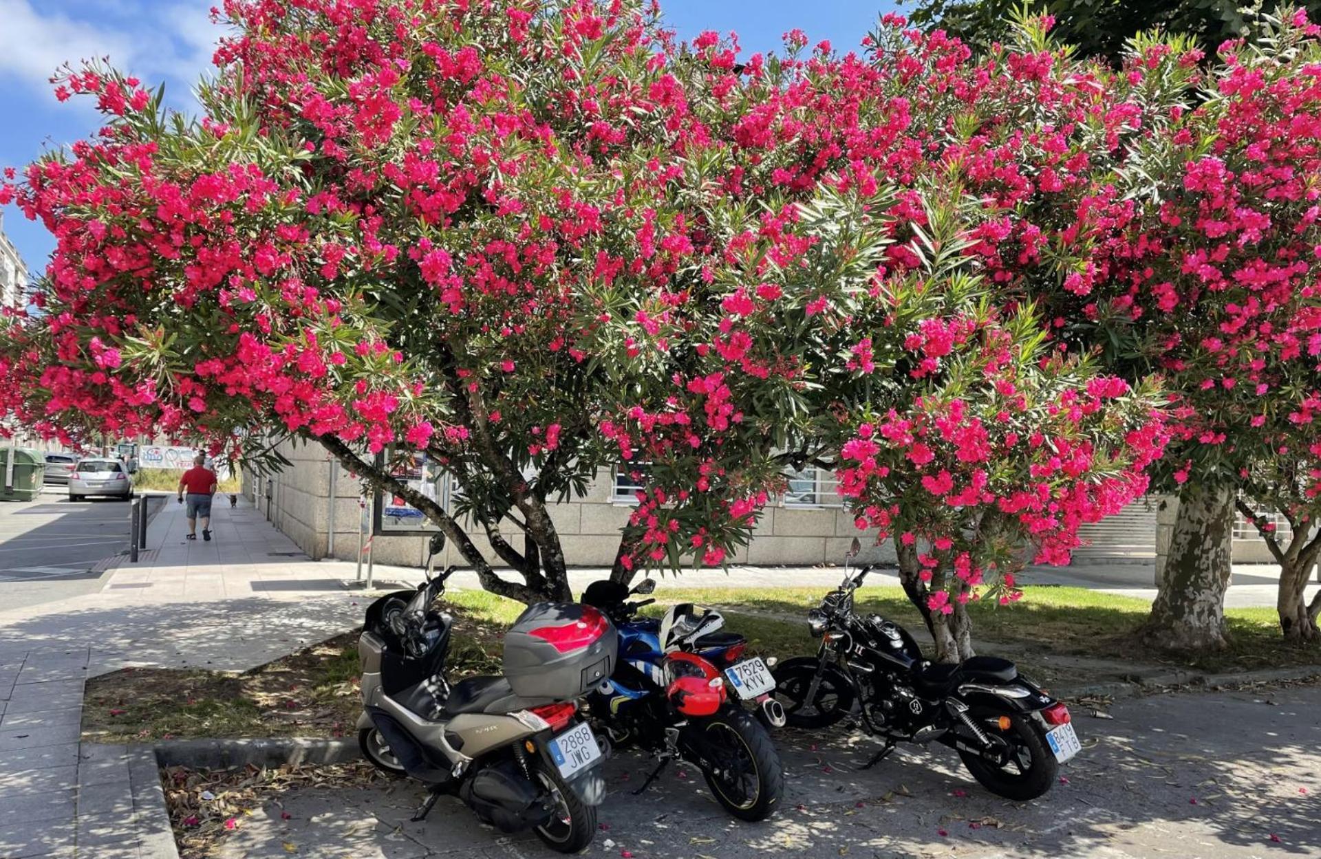 Apartamento Atico Deluxe Muy Cerca De La Playa, Parking Gratis Moaña Exterior foto